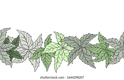 Hand drawn nature seamless pattern with virginia creeper leaves. Colored endless vector border tracery