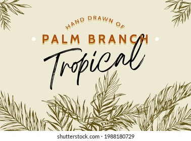 Hand Drawn Nature Tropical Palm Tree Illustration in Vintage Style