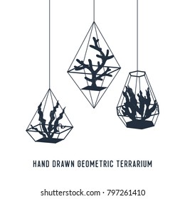 Hand drawn nautical badge with seaweed in terrariums textured vector illustration. Geometric style.