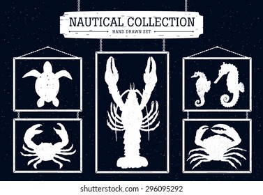 Hand drawn nautical collection of crabs, seahorse, turtle, and cancer on black background.