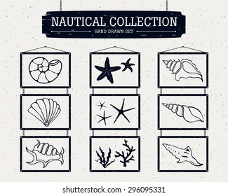 Hand drawn nautical collection of shells, starfish, and seaweed.