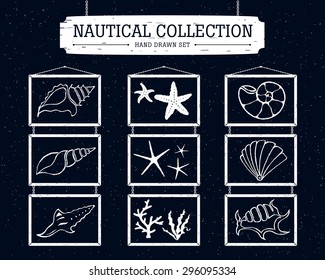 Hand drawn nautical collection of shells, starfish, and seaweed on the black background.