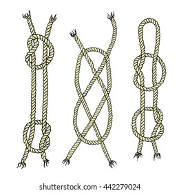 Conjunto de nudos náuticos dibujados a mano hechos en Vector. Doble Carrick Bend, nudos Fisherman's y Fisherman's Eye agrupados en una guía visual. Hermosos Elementos de diseño marinos. 