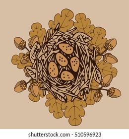 Hand drawn nest with bird's eggs, acorns and oak leaves. Brown and beige colors