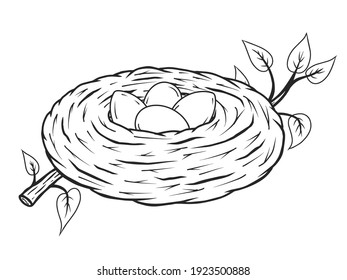 hand drawn nest with eggs. Vector illustration. Isolated on white. Doodle. Sketch.