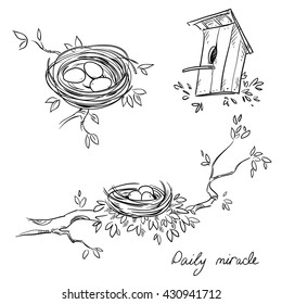 Hand drawn nests and a birdhouse, line drawing