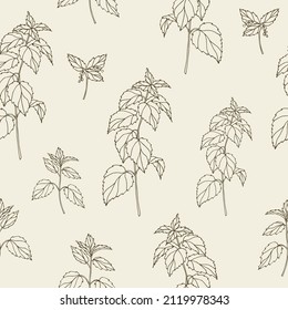Hand drawn nettle seamless pattern
