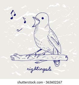 Hand drawn nightingale vector. Sketch of popular forest bird. Nightingale on wood and musics isolated on grunge background. Ball pen bird vector for design, picture, wrapping, decorating, stickers 