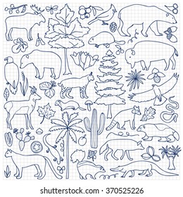 Hand drawn North America set. Vector illustration with North American animals and plants on squared paper