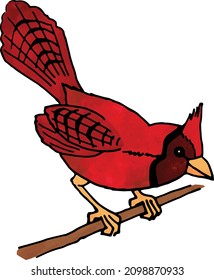 Hand Drawn Northern cardinal in watercolor style,  a finch, black and white image on a white background, vector illustration, perched atop a tree branch