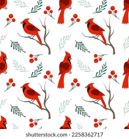 Hand drawn northern cardinals. Winter vector illustration with bird, branch and berry. Seamless pattern