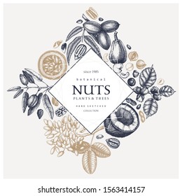 Hand drawn nut frame design. Vector pecan, macadamia, hazelnut,walnut, almond, pistachio, chestnut, peanut, Brazil nut, hazelnut, coconut and cashew sketches. Healthy food rhomb template. 