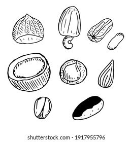 Iconos de tuercas dibujadas a mano, ilustración vectorial, doodle