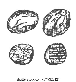 Hand Drawn Nutmeg on White background. Vector illustration