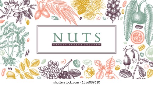 Hand drawn nuts banner design. Vegetarian products background. Detailed culinary nuts sketches frame. Healthy food vector template with botanical elements, trees, branches, plants, fruits, nutshells. 