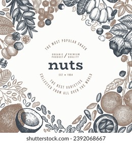 Sucursal De Tubos De Mano Y Plantilla De Kernels. Diseño de vectores de semilla orgánica. Ilustración de las nueces retro. Banner Botánico De Estilo Grabado.