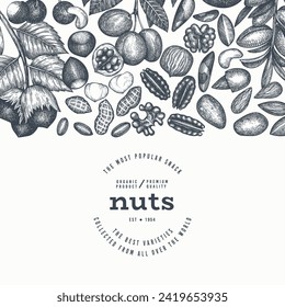 Hand Drawn Nuts Branch And Kernels  Template. Organic Seed Vector Design. Retro Nut Illustration. Engraved Style Botanical Banner.