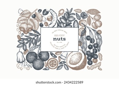 Hand Drawn Nuts Branch And Kernels  Template. Organic Seed Vector Design. Retro Nut Illustration. Engraved Style Botanical Banner.