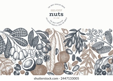 Hand Drawn Nuts Branch And Kernels  Template. Organic Seed Vector Design. Retro Nut Illustration. Engraved Style Botanical Banner.