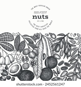 Hand Drawn Nuts Branch And Kernels  Template. Organic Seed Vector Design. Retro Nut Illustration. Engraved Style Botanical Banner.