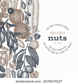 Handgezeichnete Nüsse Zweig und Kerne Vorlage. In: Organic Seed Vektorgrafik Design. Retro Mutter Illustration. In: Engraved Style Botanical Banner.