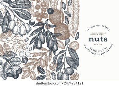 Hand Drawn Nuts Branch And Kernels  Template. Organic Seed Vector Design. Retro Nut Illustration. Engraved Style Botanical Banner.