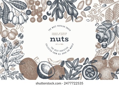 Hand Drawn Nuts Branch And Kernels  Template. Organic Seed Vector Design. Retro Nut Illustration. Engraved Style Botanical Banner.