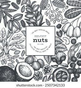 Hand Drawn Nuts Branch And Kernels  Template. Organic Seed Vector Design. Retro Nut Illustration. Engraved Style Botanical Banner.