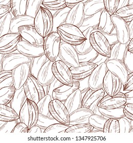 Hand drawn nuts. Brazil nut. Vector  seamless pattern