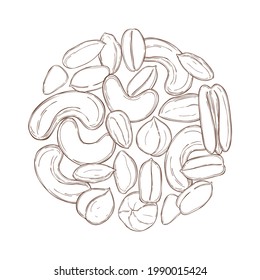 Hand drawn nuts in a circle. Vector sketch  illustration.