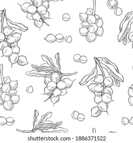 78 Seamless macadamia tree pattern Images, Stock Photos & Vectors ...