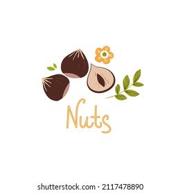 Hand drawn nuts on white background. Vector illustration for your design