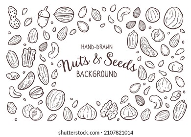 Hand drawn nuts and seeds background. Food ingredients for cooking illustration. Isolated doodle icons on white background. Vector illustration.