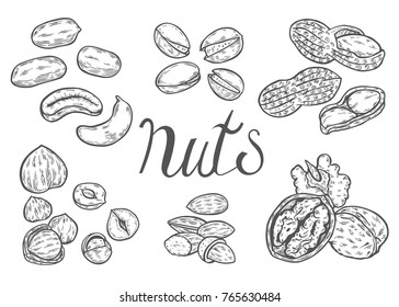 Mano trenzada de nueces, almendras, nueces, cacahuetes, pecan, pistacho, anacardos, vectores de semillas de nuez moscada. Aislado sobre fondo blanco. Ilustración grabada.