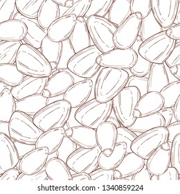 Hand drawn nuts.Pine nut. Vector  seamless pattern