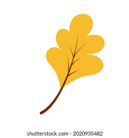 Hand drawn oak autumn leaf 