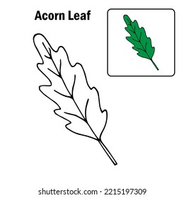 Hand drawn oak leaf coloring page