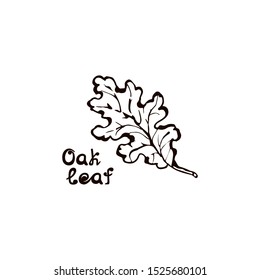 Hand drawn oak leaf with handwritten text isolated on white background. Vector illustration