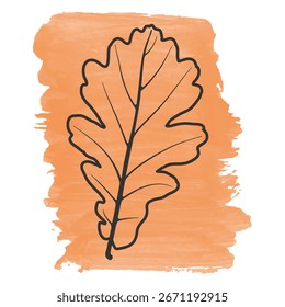 Hoja de roble dibujada a mano sobre fondo de acuarela, Ilustración vectorial de otoño