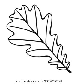 Hand drawn oak leaf outline. Oak leaf in line art style isolated on white background.