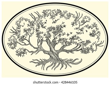 Hand drawn oak tree, olive tree. Vector illustration made in vintage style.