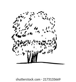 Hand drawn oak tree silhouette sketch
