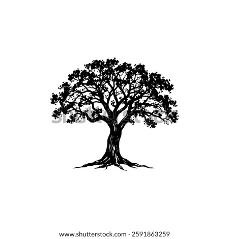 Hand drawn oak tree vintage illustration. Engraving style black and white on white backgrounds. Vector