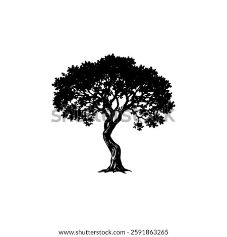 Hand drawn oak tree vintage illustration. Engraving style black and white on white backgrounds. Vector