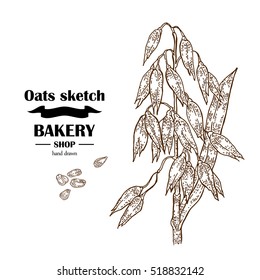 Hand drawn oats. Bakery vector illustration