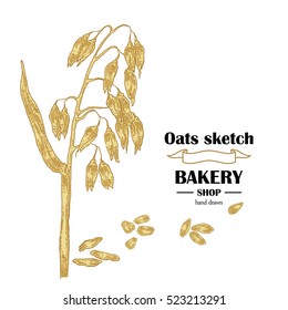 Hand drawn oats. Bakery vector illustration