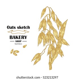 Hand drawn oats. Bakery vector illustration