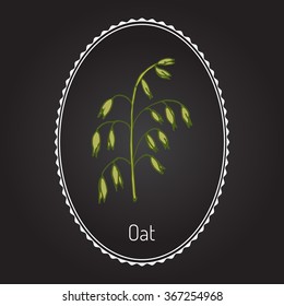 Hand drawn oats ears sketch. Vector illustration