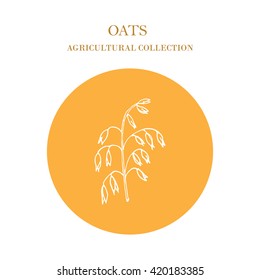 Hand drawn oats ears sketch. Agricultural collection. Vector illustration