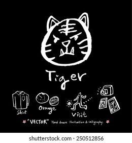 Hand drawn object sketch - vector illustration  / Blackboard Version